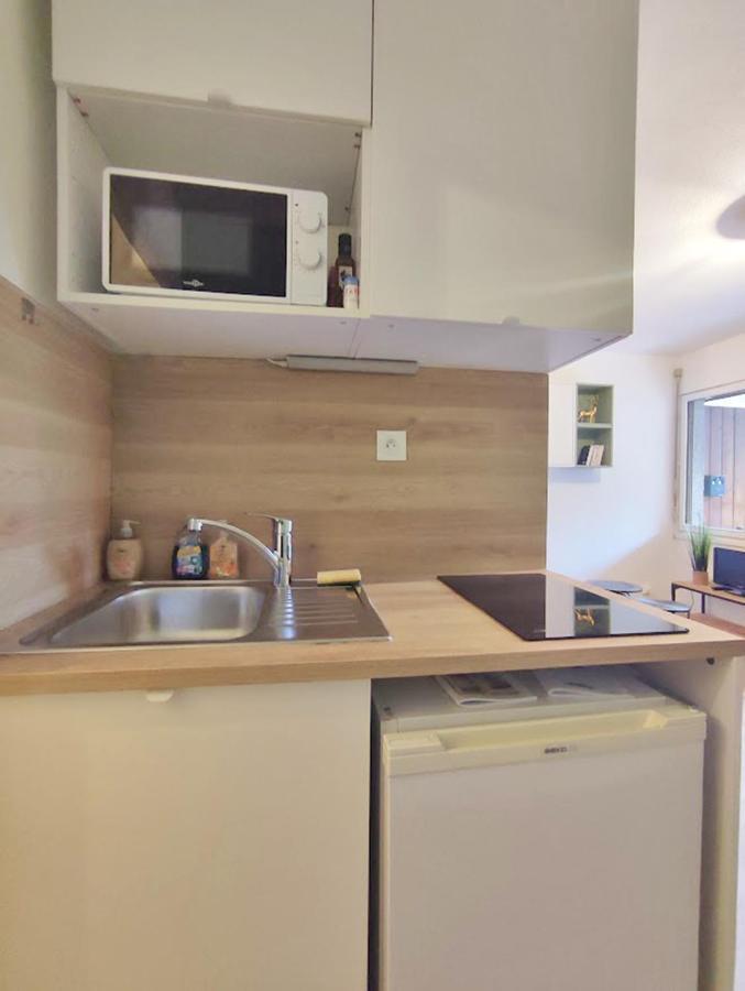 Le Cerf Charmant, T2, Luchon, Wifi, Balcon, Ascenseur, 4 Personnes Bagneres-de-Luchon Екстер'єр фото